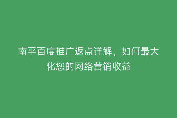 南平百度推广返点详解，如何最大化您的网络营销收益