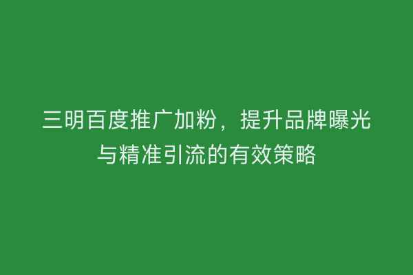 三明百度推广加粉,提升品牌曝光与精准引流的有效策略