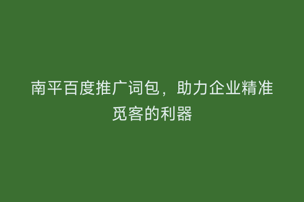 南平百度推广词包,助力企业精准觅客的利器