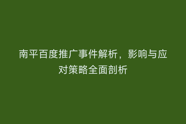 南平百度推广事件解析,影响与应对策略全面剖析