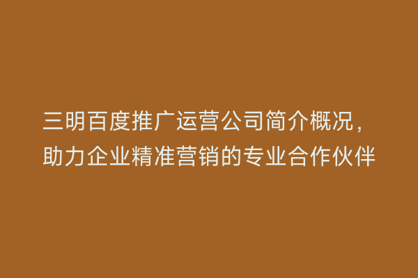 三明百度推广运营公司简介概况,助力企业精准营销的专业合作伙伴