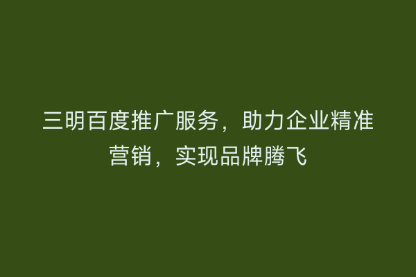 三明百度推广服务，助力企业精准营销，实现品牌腾飞