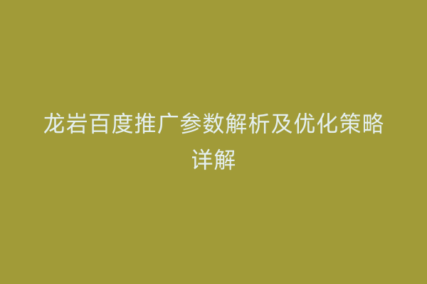 龙岩百度推广参数解析及优化策略详解