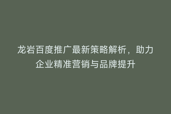 龙岩百度推广最新策略解析,助力企业精准营销与品牌提升