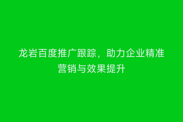 龙岩百度推广跟踪,助力企业精准营销与效果提升