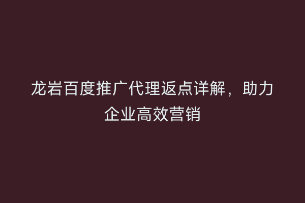龙岩百度推广代理返点详解,助力企业高效营销