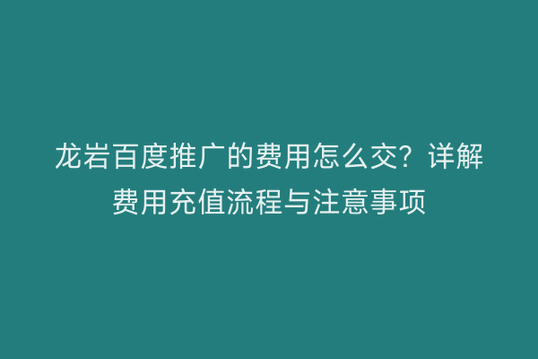 龙岩百度推广的费用怎么交?详解费用充值流程与注意事项