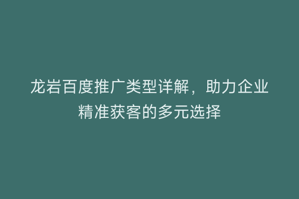 龙岩百度推广类型详解,助力企业精准获客的多元选择