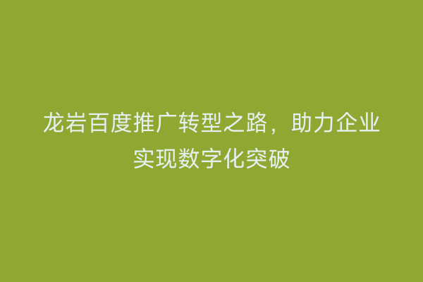 龙岩百度推广转型之路,助力企业实现数字化突破