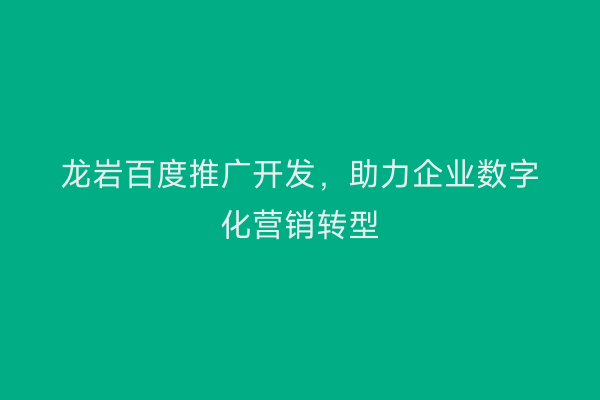 龙岩百度推广开发,助力企业数字化营销转型