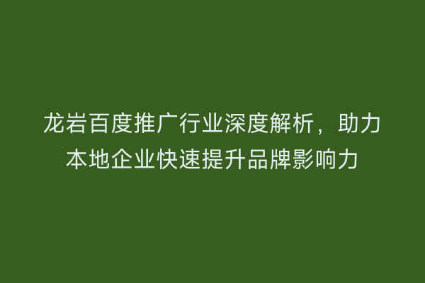 龙岩百度推广行业深度解析,助力本地企业快速提升品牌影响力