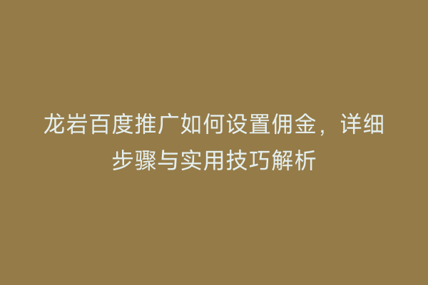 龙岩百度推广如何设置佣金,详细步骤与实用技巧解析