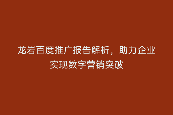 龙岩百度推广报告解析,助力企业实现数字营销突破