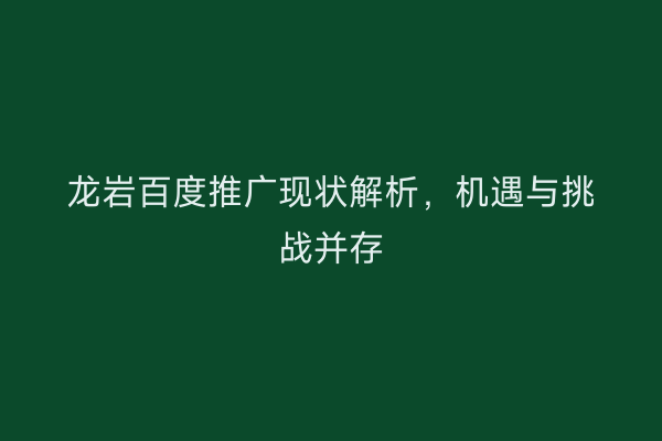龙岩百度推广现状解析,机遇与挑战并存