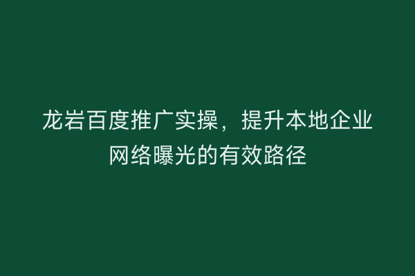 龙岩百度推广实操,提升本地企业网络曝光的有效路径