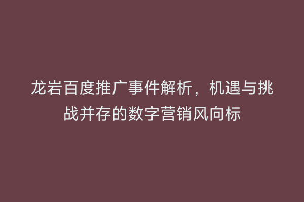 龙岩百度推广事件解析,机遇与挑战并存的数字营销风向标