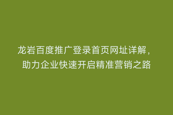 龙岩百度推广登录首页网址详解,助力企业快速开启精准营销之路