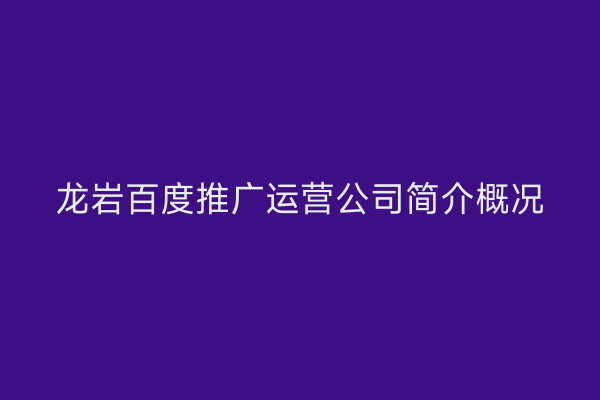 龙岩百度推广运营公司简介概况