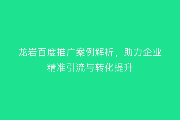 龙岩百度推广案例解析,助力企业精准引流与转化提升
