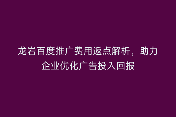龙岩百度推广费用返点解析,助力企业优化广告投入回报