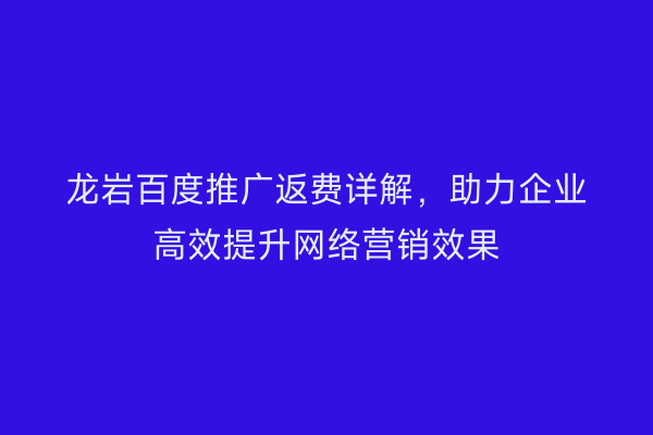 龙岩百度推广返费详解,助力企业高效提升网络营销效果