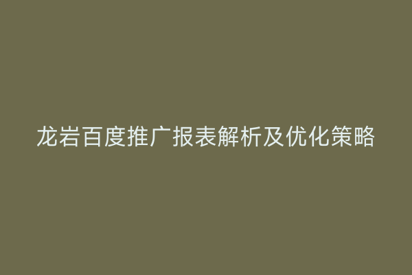 龙岩百度推广报表解析及优化策略