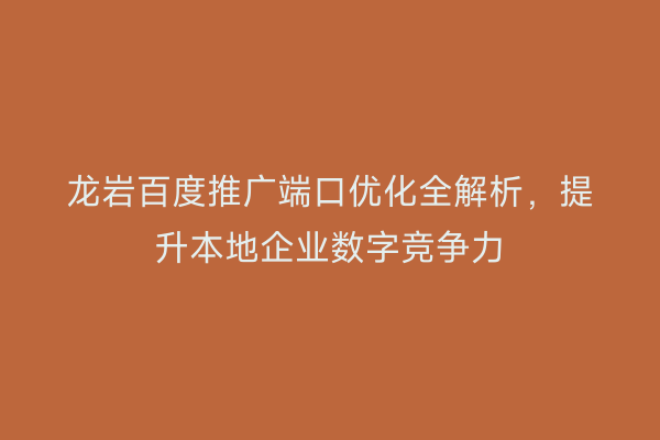 龙岩百度推广端口优化全解析,提升本地企业数字竞争力