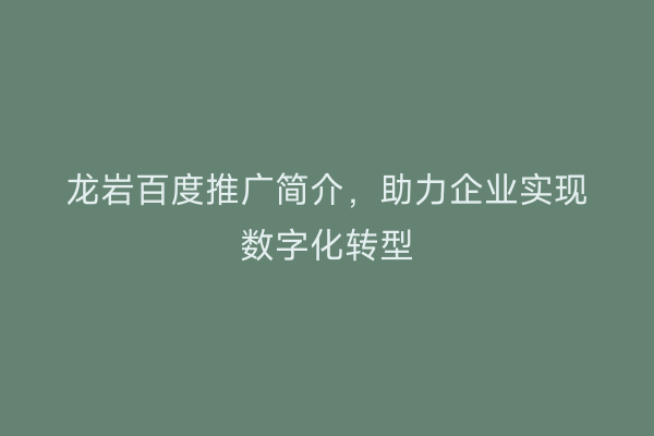 龙岩百度推广简介，助力企业实现数字化转型