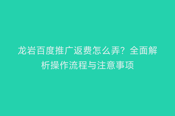 龙岩百度推广返费怎么弄？全面解析操作流程与注意事项