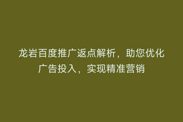 龙岩百度推广返点解析，助您优化广告投入，实现精准营销