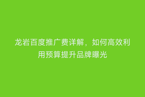 龙岩百度推广费详解,如何高效利用预算提升品牌曝光