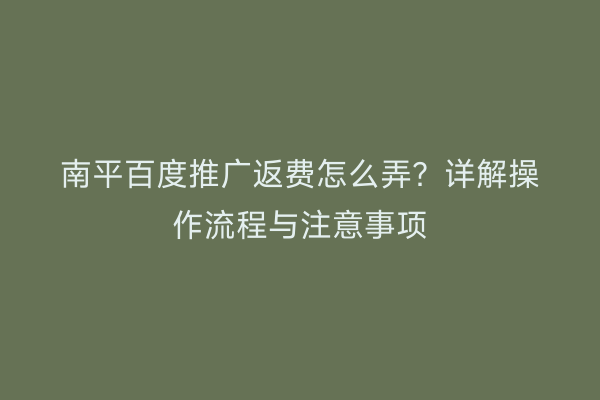 南平百度推广返费怎么弄?详解操作流程与注意事项