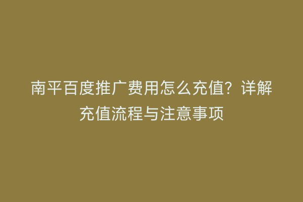 南平百度推广费用怎么充值？详解充值流程与注意事项