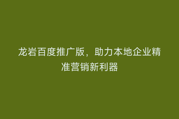 龙岩百度推广版,助力本地企业精准营销新利器