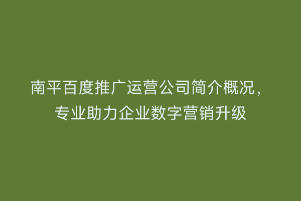 南平百度推广运营公司简介概况，专业助力企业数字营销升级