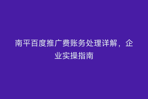 南平百度推广费账务处理详解,企业实操指南