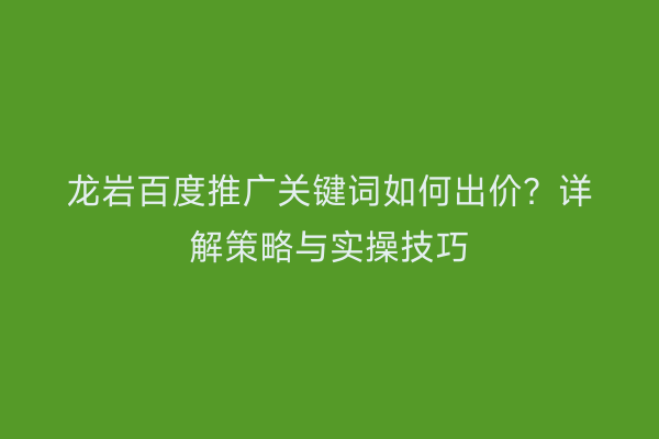 龙岩百度推广关键词如何出价?详解策略与实操技巧