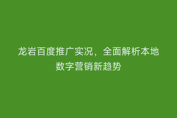 龙岩百度推广实况,全面解析本地数字营销新趋势