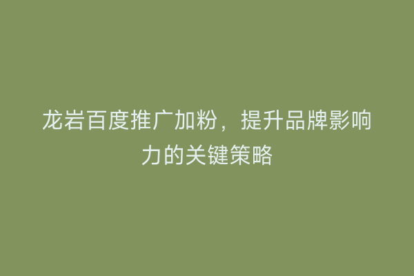 龙岩百度推广加粉，提升品牌影响力的关键策略