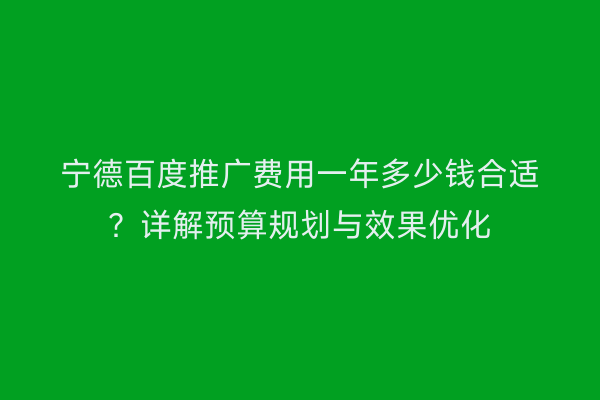 宁德百度推广费用一年多少钱合适？详解预算规划与效果优化