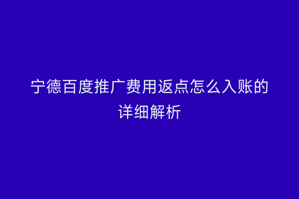 宁德百度推广费用返点怎么入账的详细解析