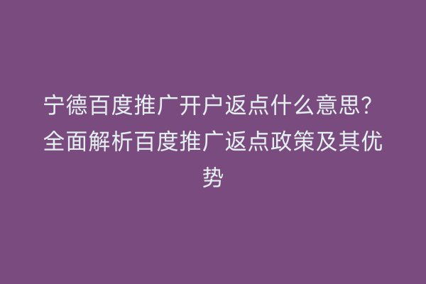 宁德百度推广开户返点什么意思？全面解析百度推广返点政策及其优势