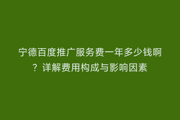 宁德百度推广服务费一年多少钱啊？详解费用构成与影响因素