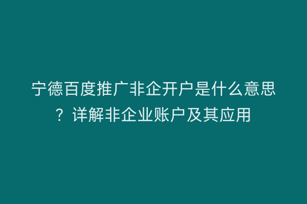 宁德百度推广非企开户是什么意思？详解非企业账户及其应用