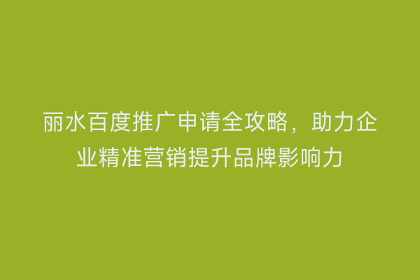 丽水百度推广申请全攻略,助力企业精准营销提升品牌影响力
