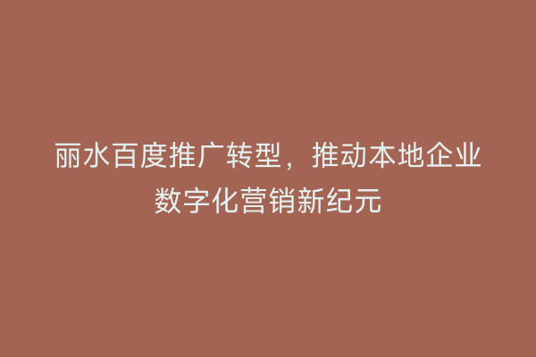 丽水百度推广转型，推动本地企业数字化营销新纪元