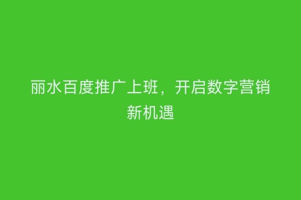 丽水百度推广上班，开启数字营销新机遇