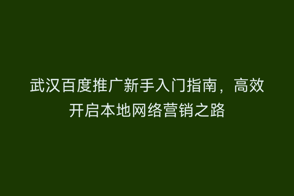 武汉百度推广新手入门指南，高效开启本地网络营销之路
