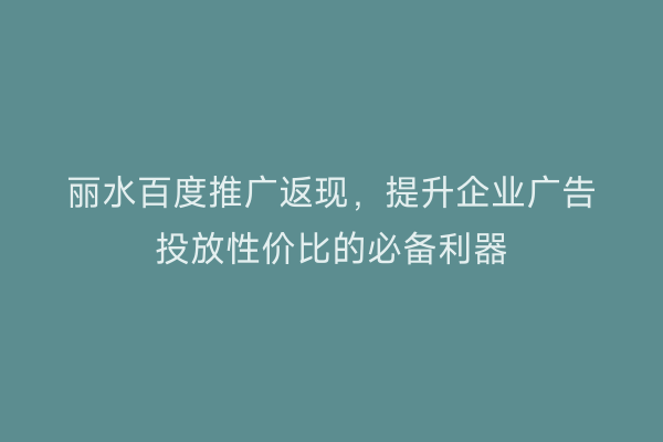 丽水百度推广返现，提升企业广告投放性价比的必备利器