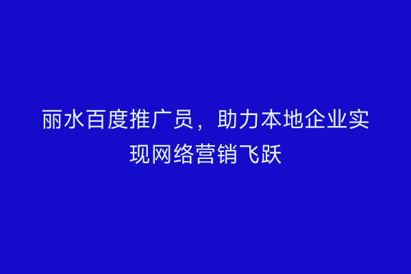 丽水百度推广员,助力本地企业实现网络营销飞跃